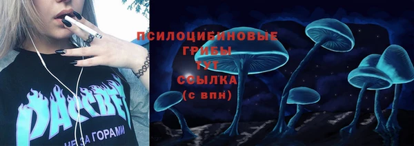 сатива Заволжье