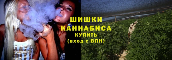 сатива Заволжье