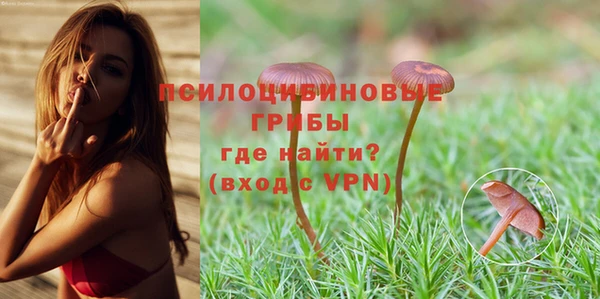 мескалин Заводоуковск
